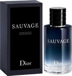 Dior Sauvage 60 Ml - Eau De Toilette - Herenparfum -Modecosmetica 1151x1200 1
