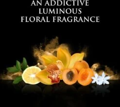 Beyonce Rise - 100ml - Eau De Parfum -Modecosmetica 1200x1068