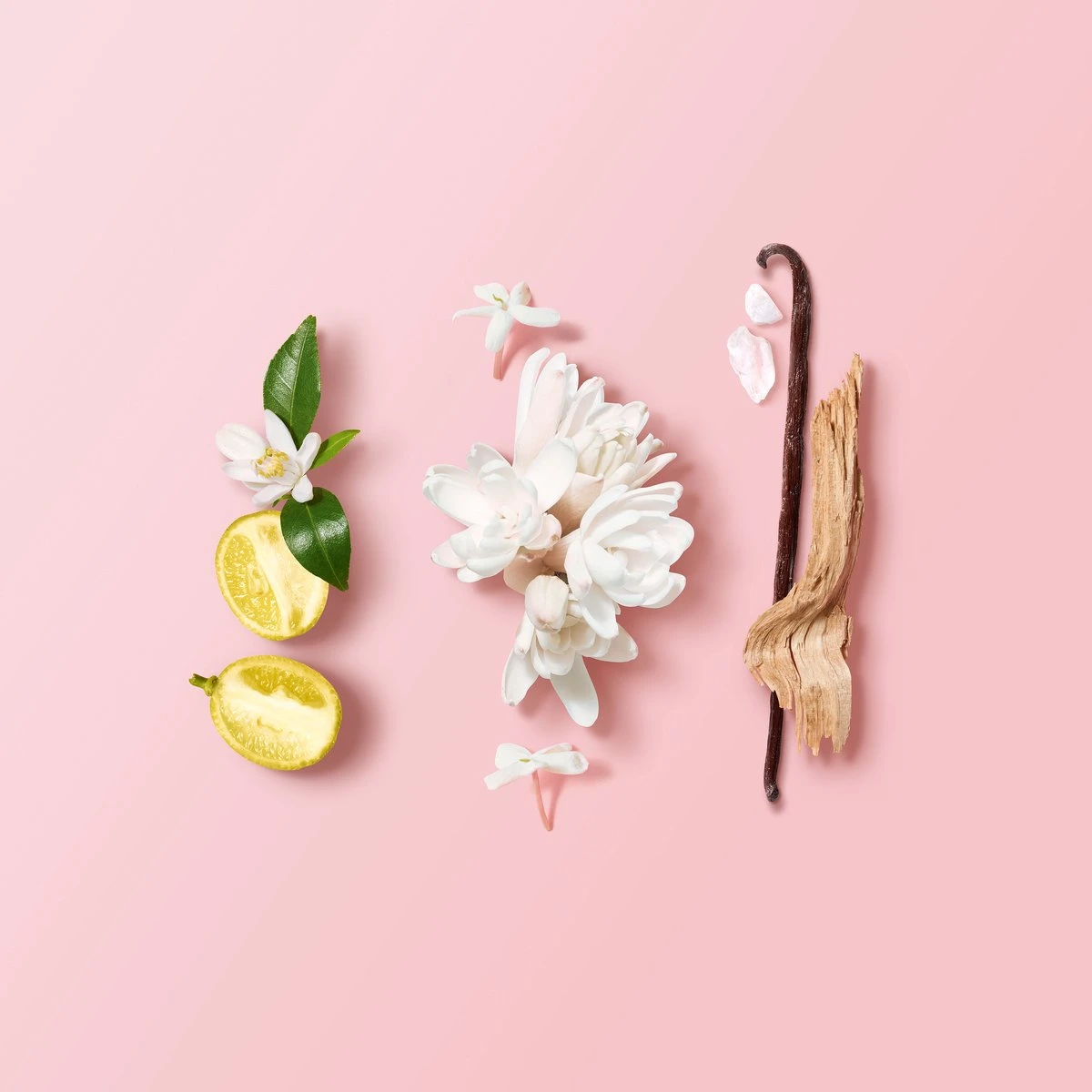 Giorgio Armani My Way Eau De Parfum Refill -150 Ml 5 Giorgio Armani My Way Eau De Parfum Refill -150 Ml - Afbeelding 5